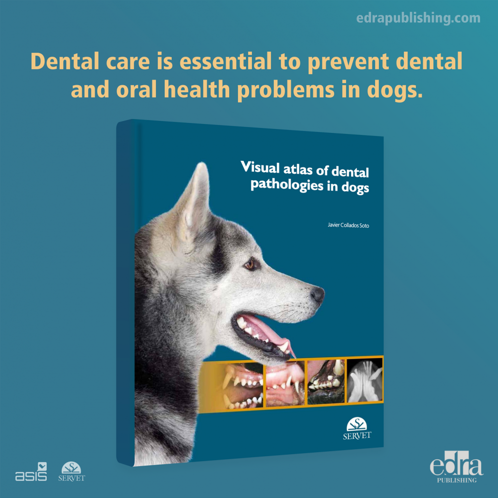 Visual Atlas of Dental Pathologies in Dogs - Book details - Veterinary Book