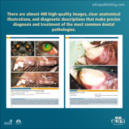 Visual Atlas of Dental Pathologies in Dogs - Book images - Veterinary Book