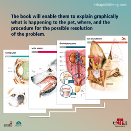 Pet Owner Educational Atlas. Surgery - book extract - veterinary book