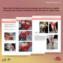 Clinical Cases of skin surgery - Book extract 2 - Veterinary book