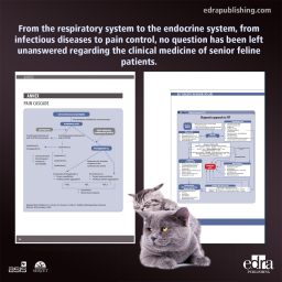 Key concepts in senior cat care - book extract - veterinary book