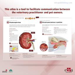 Pet owner educational atlas. 
Nephrology and urology - Book Extract 2 - Veterinary Book