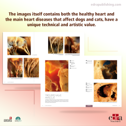 The Heart. Atlas of Cardiology - Book extract - veterinary book