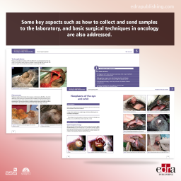 Atlas of Tumours. Oncology in Daily Clinical Practice - book extract 2 - veterinary book
