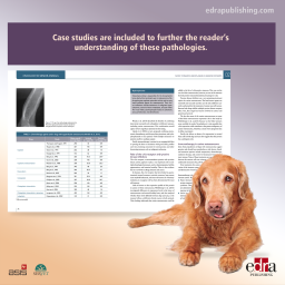 Oncology in senior animals
with clinical cases - book extract 1 - veterinary book