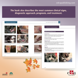 Oncology in senior animals
with clinical cases - book extract 2 - veterinary book