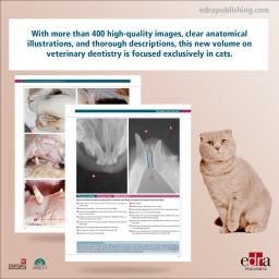 Visual Atlas of Oral and Dental Pathologies in Cats - Book extract 2 - Veterinary book