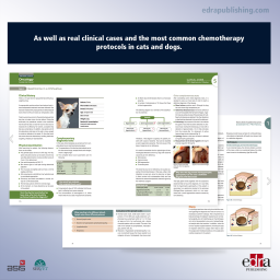 Canine and Feline Oncology. From Theory to Practice - book extract 2 - veterinary book